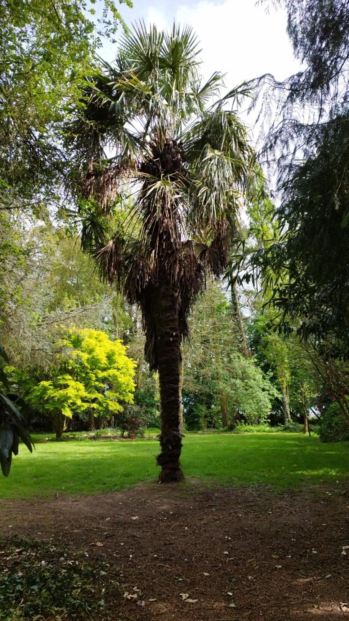 La Suite D'Anna Rohan Dış mekan fotoğraf